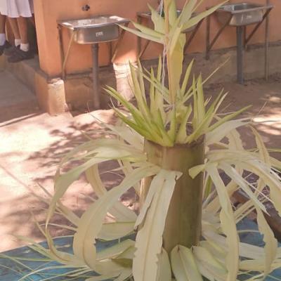 ගොක්කොළ නිර්මාණ  ප්‍රදර්ශනය